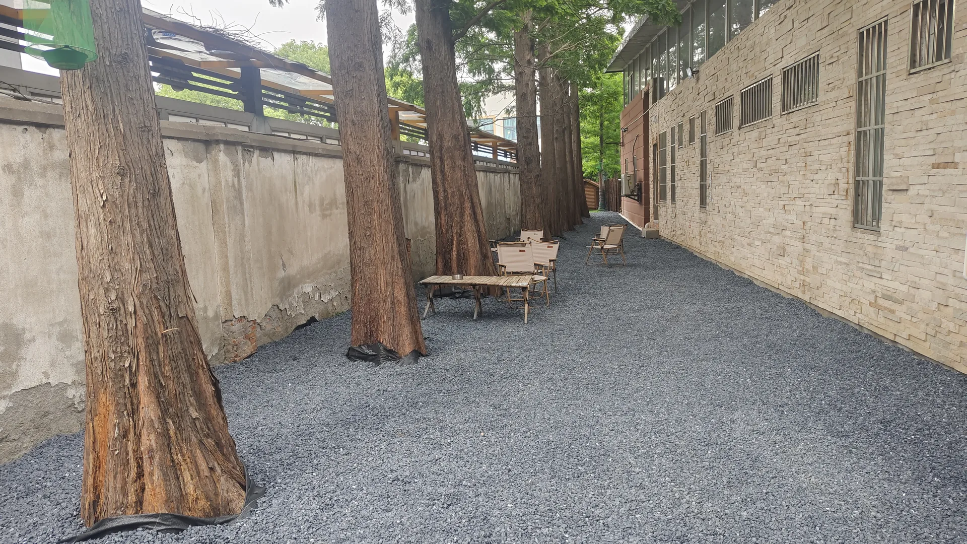 杉树下砾石休憩空间